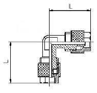 L jungties schema