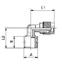 L jungties schema