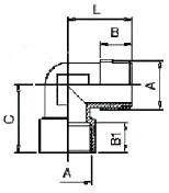 L jungties schema